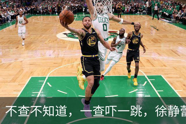 不查不知道，一查吓一跳，徐静蕾给王朔在北京买的别墅，私下多壕