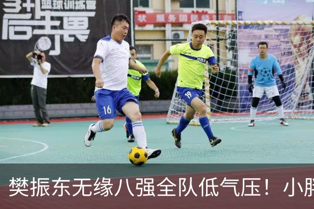 樊振东无缘八强全队低气压！小胖婉拒签名要求 波尔分析奥运可能性